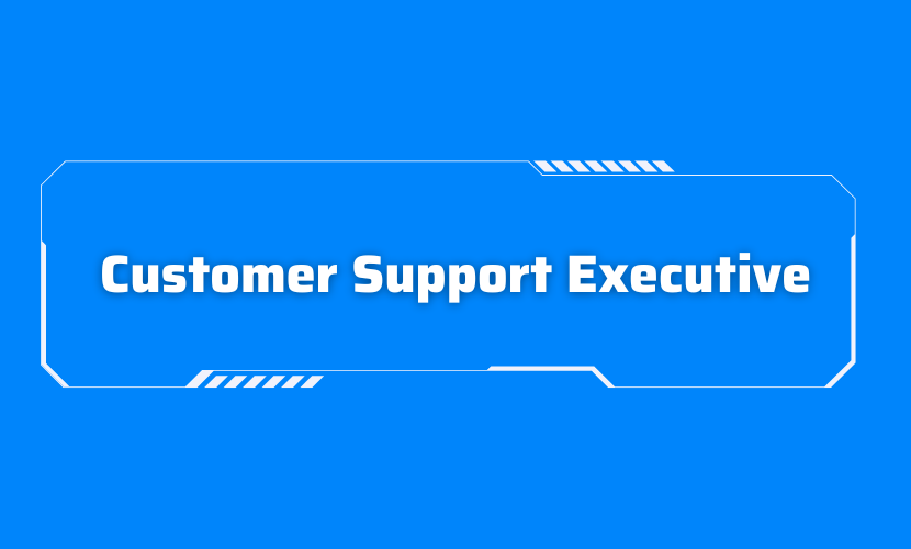 H25_01_Customer Support Executive